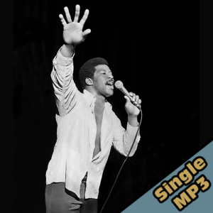 He Don't Love You (MP3 Single)
