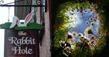 The Rabbit Hole